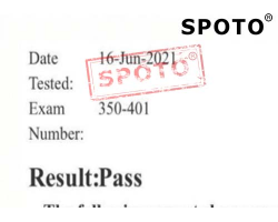 300-730 Examengine | Sns-Brigh10